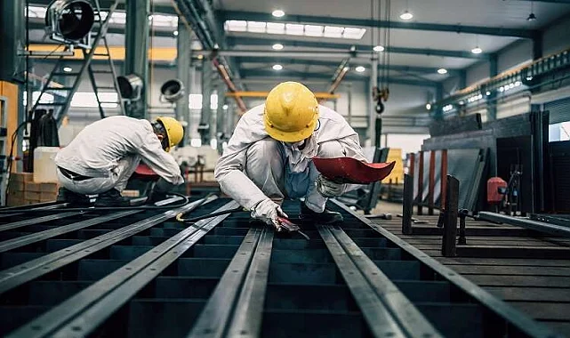 İyidere Fare İlaçlama